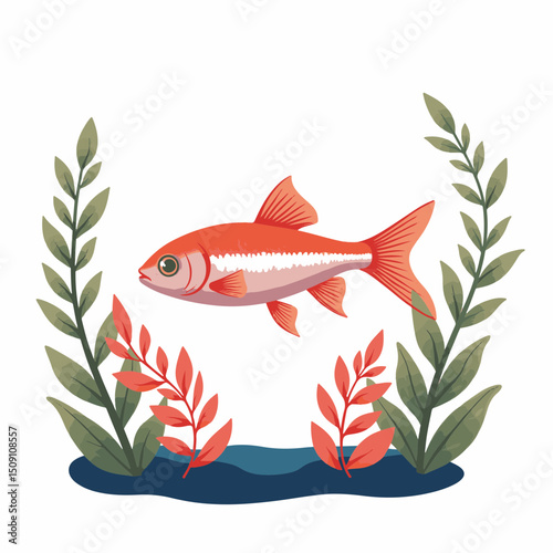 Red fish illustration with aquatic plants. Detailed image shows a single red fish swimming amidst green and red aquatic plants.