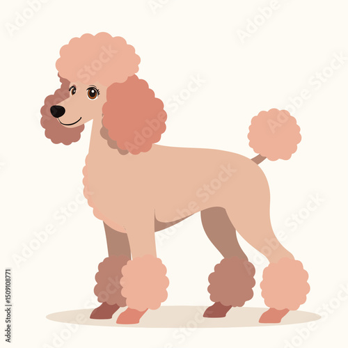 Adorable apricot poodle dog breed illustration. Poodle dog is a popular pet known for its intelligence and hypoallergenic coat. This charming poodle image is perfect for pet websites,