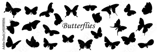 Set of vector illustrations of butterfly silhouettes is a collection of butterfly silhouettes for arrival plans, motifs, cards and designs1