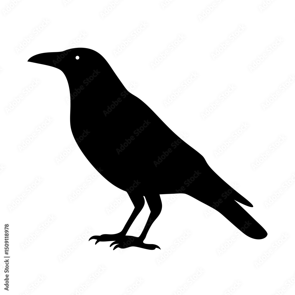 Fototapeta premium Silhouette of a crow standing isolated on a white background illustration