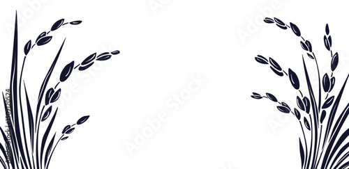 Rice plant, raw long grain Vector graphic template