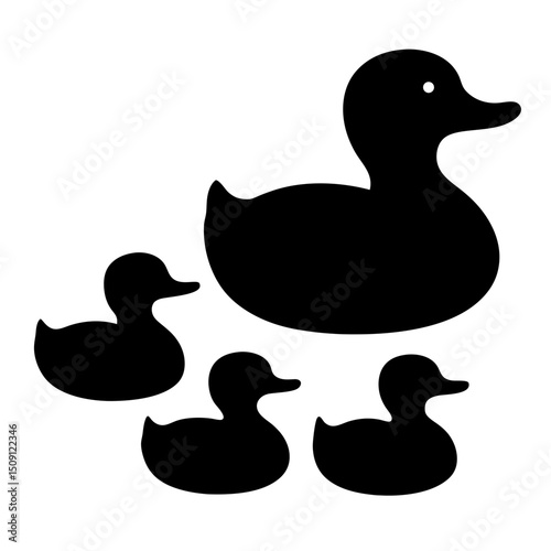 Family of black ducks isolated on white background, including three ducklings