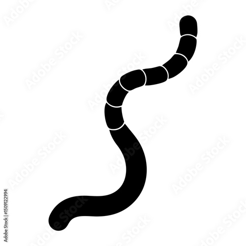 Stylized monochrome image of a segmented worm crawling along a white surface