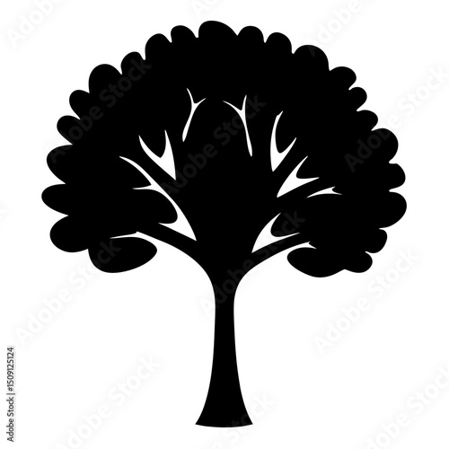 A silhouetted tree with a full crown of foliage and sturdy trunk