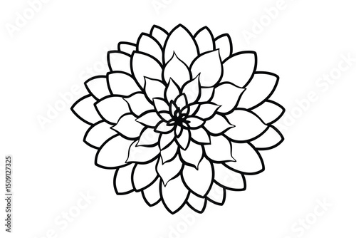 Elegant black and white line art flower design dahlia mandala