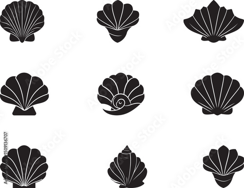 Illustration featuring nine unique black silhouette seashell designs. Perfect for ocean-inspired themes, beach-related projects, or nautical designs, showcasing various shell types in a simple  style