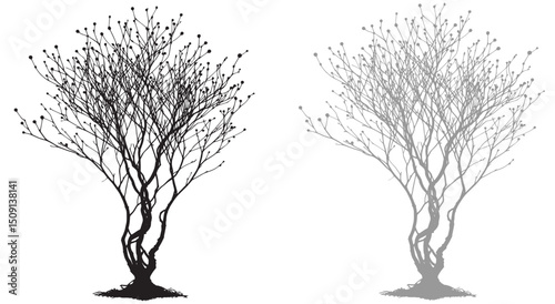 Minimal naked tree vector branches silhouette Dead tree isolated on white background, silhouette winter tree set