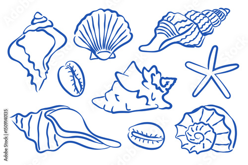 A Beautiful Collection of HandDrawn Illustrations Featuring Seashells and Starfish