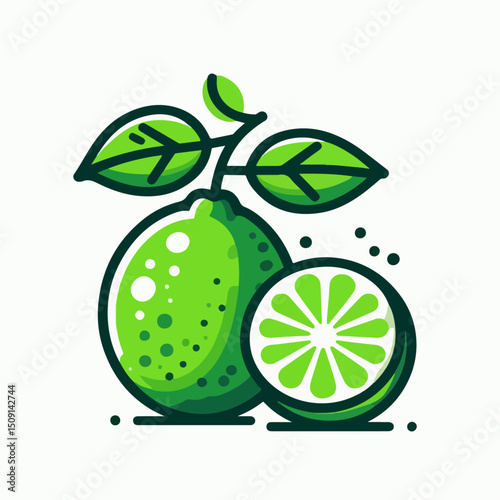 lime vector illustration