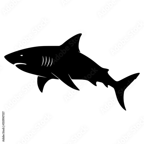 Shark Vector Silhouette: Marine Animal Ocean Predator Illustration in Black and White Graphic Design