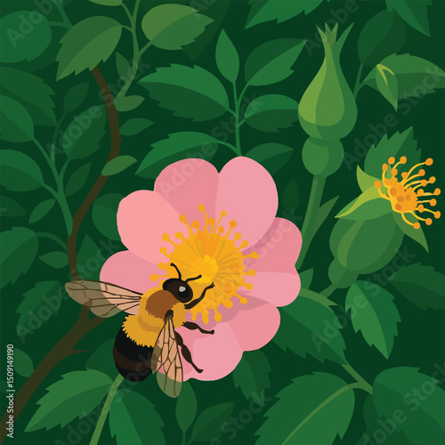 Bee pollinating a pink flower among green foliage in a garden setting during daytime