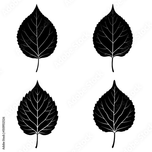 Aspen Leaf Silhouette vector illustration