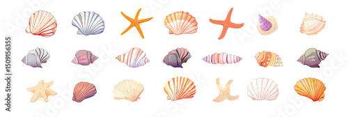 Colorful cartoon seashell and starfish collection with various marine shell types in flat minimalist vector style for beach and ocean themes