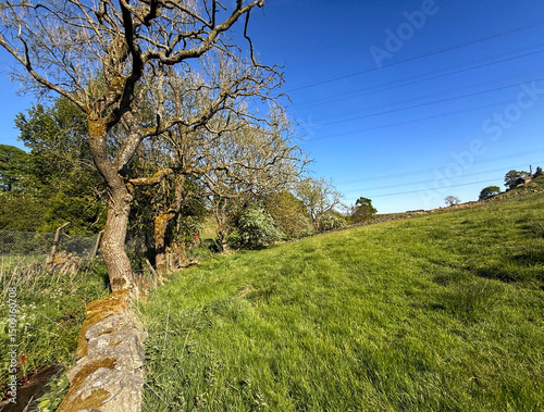 Golden light spills over a vast green field, with a moss covered dry stone wall, and old twisted trees framing the horizon, beneath a crisp blue sky near, Thornton, Bradford, Yorkshire, UK
