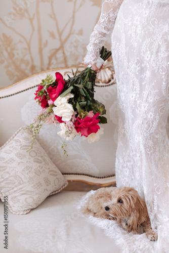 Bride in lace dress holding red, white, and pink rose bouquet standing next to small dog lying on vintage upholstered sofa. Studio wedding photography. Bridal preparation and wedding morning concept. 
