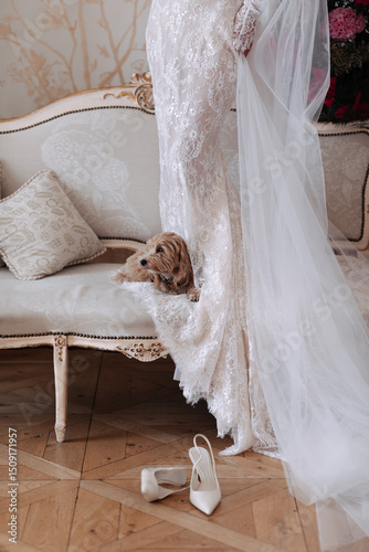 Bride in lace wedding dress standing beside vintage sofa with small dog resting on veil and white bridal shoes on wooden floor. Studio wedding photography. Bridal preparation and wedding morning conce