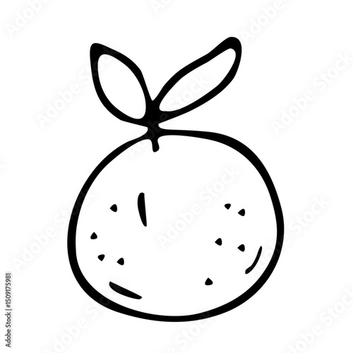 Orange fruit mandarin vector illustration. Chinese New Year tangerine art line