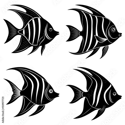 Angelfish Silhouette vector illustration