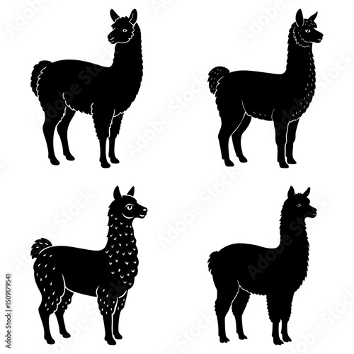 Alpaca Silhouette vector illustration