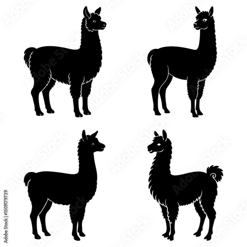 Alpaca Silhouette vector illustration