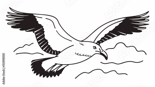 detailed vector sketch of a soaring bald eagle