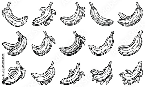 Intricate Banana Line Art Illustration for Adults, Designed for Relaxation and Stress Relief, Ideal for Printable Art Therapy Activities or High-Quality Adult Coloring Books.