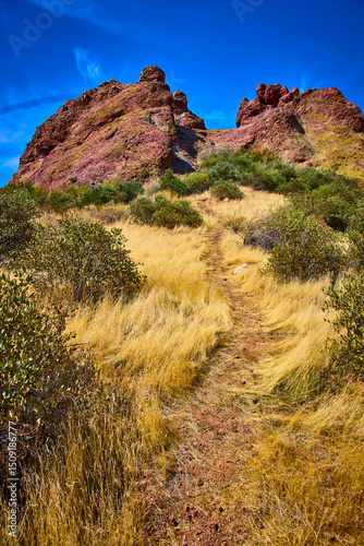 Desert Hiking Trail with Golden Grass and Red Rock Formations Low Perspective