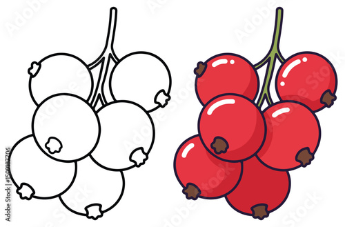 Currant Fruit Line Art Vector Outline Illustration Black and White with Coloring Sample. Bold and Easy Food, Fruits, Sweets, Drinks, Dessert, and Snacks Coloring Pages for Adults and Kids