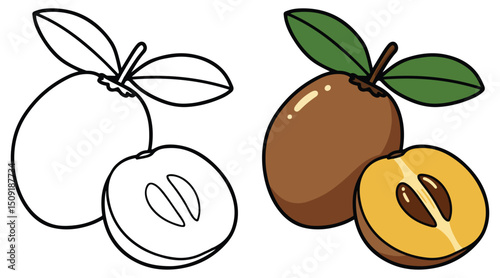 Sapodilla Fruit Line Art Vector Outline Illustration Black and White with Coloring Sample. Bold and Easy Food, Fruits, Sweets, Drinks, Dessert, and Snacks Coloring Pages for Adults and Kids