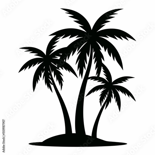 palm tree silhouette