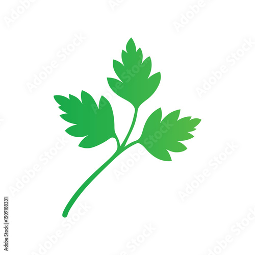 parsley vector