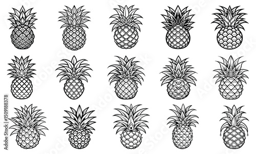 Pineapple Coloring Page for Adults with Detailed Line Art, Perfect for Relaxation and Stress Relief, Ideal for Printable Art Therapy or Adult Coloring Book Use, High-Quality Design.