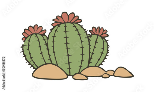  cactus vector,  isolated illustration on white background. Cactus with flowers.