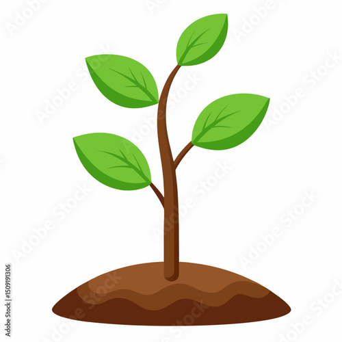 Young plant growing out of the soil symbolic of growth and new beginnings