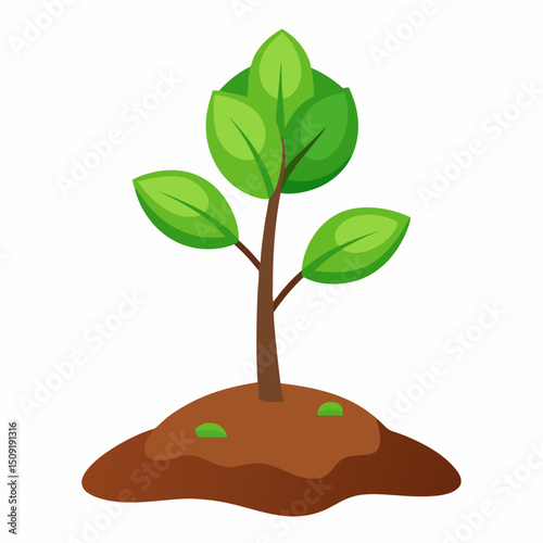 Illustration of a small plant growing in soil with green leaves