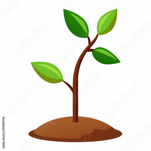 Small plant growing in soil representing new life and growth concept