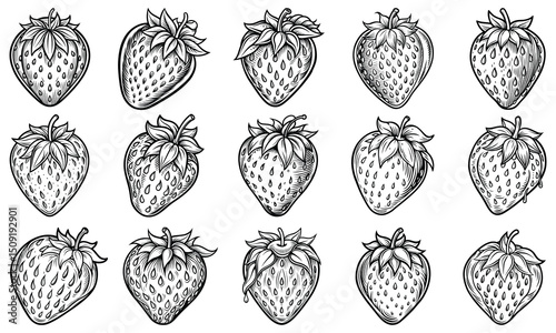 Strawberry Coloring Page for Adults with Detailed Line Art, Ideal for Relaxation and Stress Relief, Perfect for Printable Art Therapy or Adult Coloring Book, High-Quality Design.