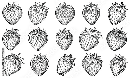 Detailed Strawberry Coloring Page for Adults with Elegant Line Art, Ideal for Printable Art Therapy, Stress Relief, and Relaxation, Perfect for Creative Coloring Book Use.