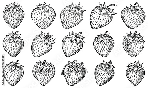 Intricate Strawberry Line Art Illustration for Adults, Designed for Stress Relief and Relaxation, Ideal for Printable Art Therapy or High-Quality Adult Coloring Book Use.
