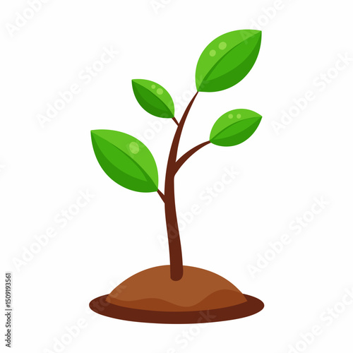 Illustration of a small plant growing in soil on white background