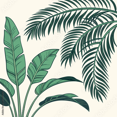 Set of tropical leaves and palm fronds vector illustration.