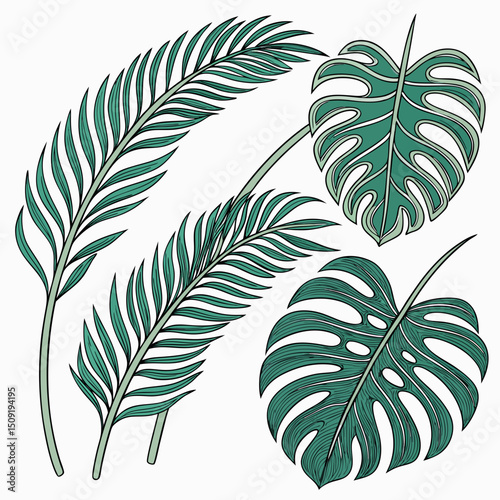 Set of tropical leaves and palm fronds vector illustration.