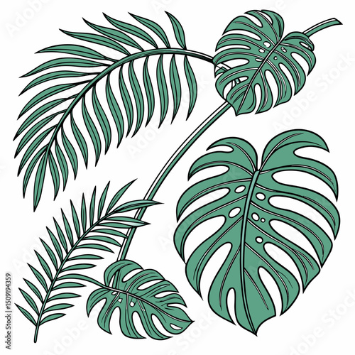 Set of tropical leaves and palm fronds vector illustration.