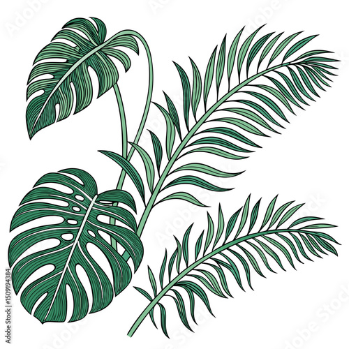 Set of tropical leaves and palm fronds vector illustration.