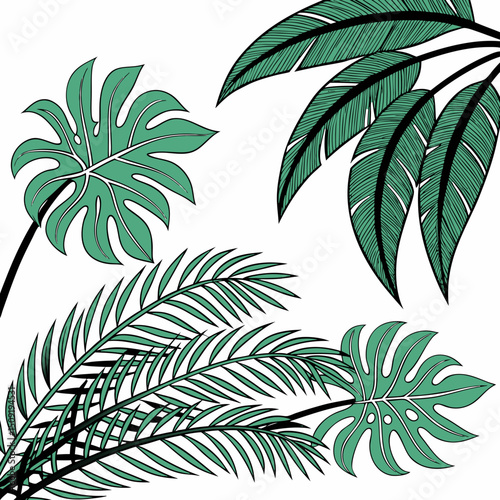 Set of tropical leaves and palm fronds vector illustration.