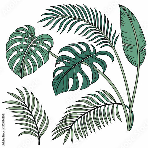 Set of tropical leaves and palm fronds vector illustration.