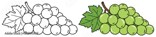 Green Grapes Coloring Page – Vector Fruit Cluster with Leaf in Line Art and Full-Color EPS Illustration