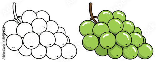 Green Grapes Coloring Page – Vector Fruit Cluster Outline and Colored Illustration for Kids and EPS Design