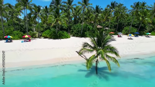 tropical Beach with Turquoise Water and Palm Trees