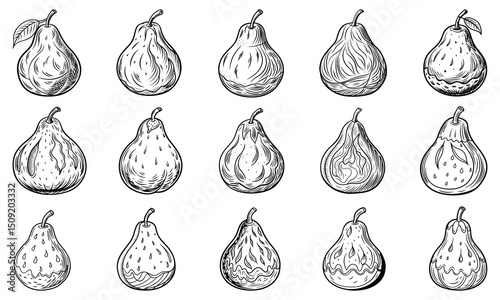 Intricate Pear fruit Line Art Illustration for Adults, Designed for Stress Relief and Relaxation, Ideal for Printable Art Therapy or High-Quality Adult Coloring Books.
